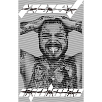 idol singer-GS  1308